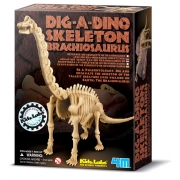 Udgrav en Brachiosaurus